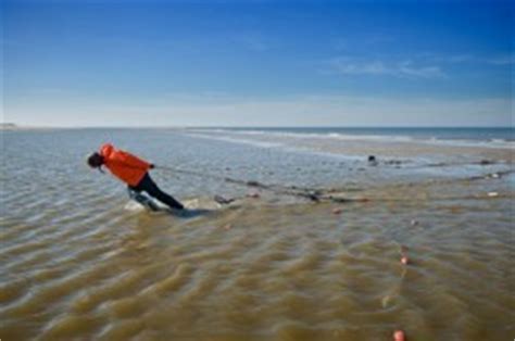 Waddenzee.com, hét internationale platform voor het unesco werelderfgoed de waddenzee en de locaties. Noordzeestrand Waddeneilanden | Goede Vissers