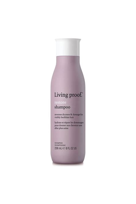 I highly recommend this shampoo and conditioner. Hair Feeling Brittle? Shop The 13 Best Shampoos for Dry ...