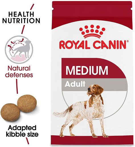 Food allergies are actually rare in dogs, and these allergies are more likely to be caused by the environment and sometimes genetics, studies show. Top 9 Best Dog Food for Poodles (Review) | Pet Daily Press