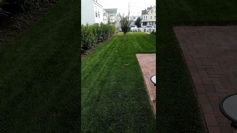 Ebay.de has been visited by 100k+ users in the past month Honda HRC216 Commercial mower - YouTube
