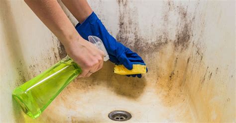 When you need to get your grimy bathtub clean, only the best bathtub cleaners will do. Bathtubs can get dirty. See 10 ways to clean them