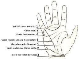 Merancang assesment kompetensi minimum (akm) program merdeka belajar part 3. www.Primo.com: Do You Know Palmistry.