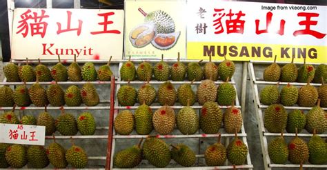 Tree calculator, calculate how many trees per acre. Durian prices are increasing in Malaysia because China has ...