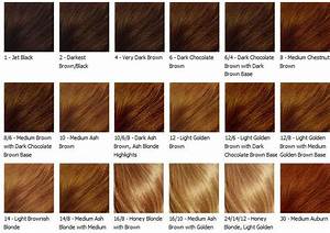 Black Hair Color Hair Color Chart