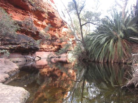 Und gott der herr nahm den menschen und setzte ihn in den garten eden, daß er ihn bauete und bewahrete. Garten Eden - Garten eden, Australien, Outback ...