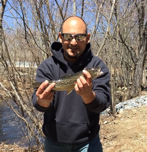 Beautiful flowers, great service and delivery. Fishing near Bridgeport in Fairfield, Connecticut - CT ...