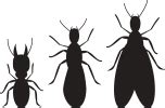 Even other exterminators recommend our services when they encounter an infestation beyond their experience. Clark's Termite & Pest Control | Serving South Carolina ...