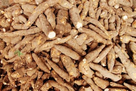 Aku fikir satu aje, aku nak lari. Cerpen "Kebun Ubi Kayu" | Saudari.com