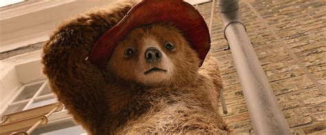 Insider rounded up the 2019 films that have received perfect scores of 100% on rotten tomatoes from critics. Paddington 2 perde il 100% su Rotten Tomatoes! Ora c'è un ...