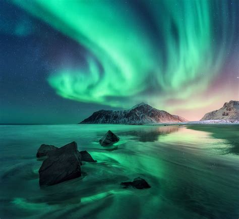 Aurora. Northern lights in Lofoten islands, Norway. Sky with polar ...