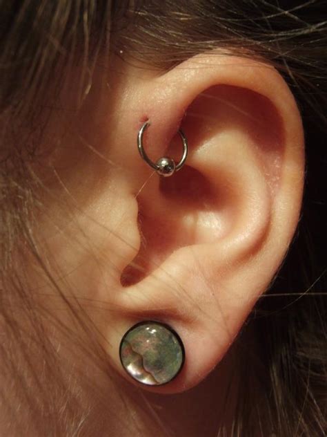 Absolute guide on conch piercing. piercing oreille | Tumblr