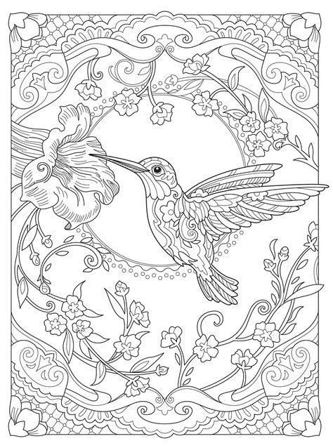 It is perfect for coloring books, accessories, invitation cards, packaging and more. Creative Haven Birds and Blossoms Coloring Book: Amazon.ca ...