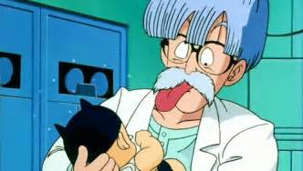 Who is the mysterious girl? Dr. Briefs | Ultra Dragon Ball Wiki | FANDOM powered by Wikia