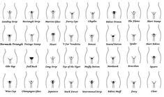 Which style is best for a healthy vagina? Pubic Hairstyles For Men Photos Ideas | Hairstyles for men ...