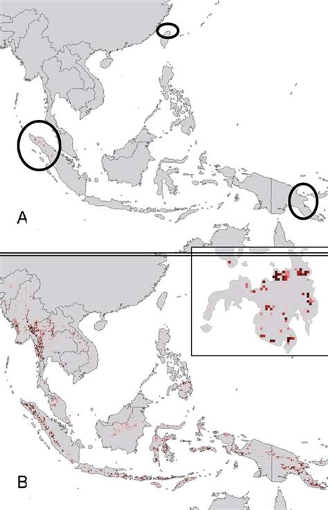 Micrografia elettronica a trasmissione del virus marburg. Ebola - Wikipedia