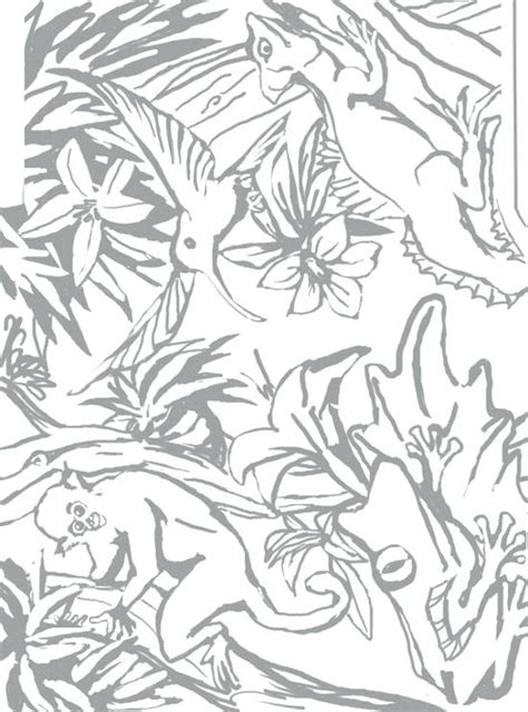 This beautiful printout requires students to color the rainforest and to label each layer of the forest with the informational snippets provided. Layers Of The Rainforest Coloring Page at GetColorings.com ...
