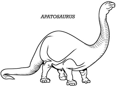 Download apatosaurus coloring page and use any clip art,coloring,png graphics in your website, document or presentation. Pin by ToColor on Apatosaurus Coloring Pages | Coloring ...