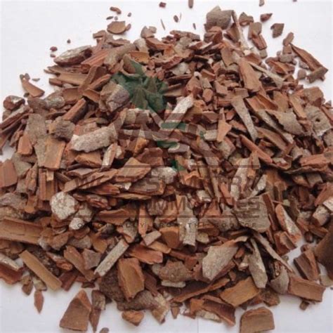 Put impeller (small hook turner) in steam pan. Cassia Vera Indonesia, Cinnamon Cassia Vera, Cinnamon ...