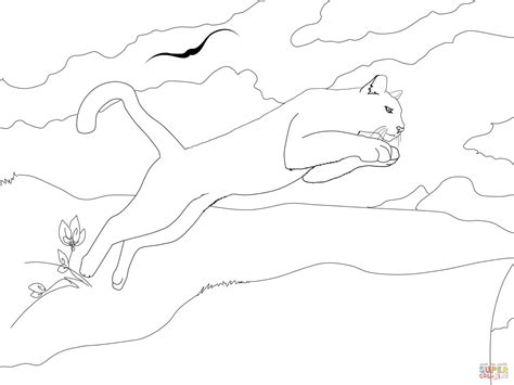 Their size makes them the largest animal living in north america. Florida Panthers Coloring Page - Coloring Home