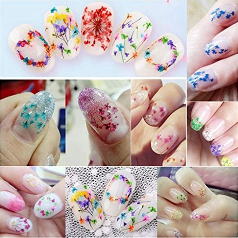 Dried flowers for nails sally's. 24pcs 12 Colors Natural Real Dried Flowers for Manicure ...