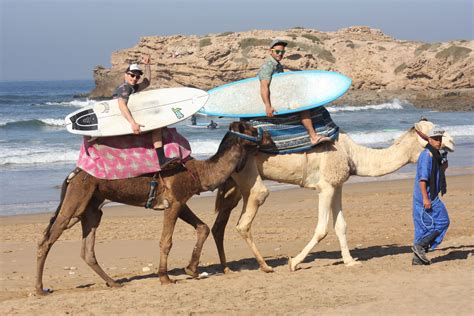 Agadir camel ride, camel ride agadir, enjoy a two hours camel ride around the ranch and a along the souss river, camel trek agadir beach, agadir our whole day camel experience begins along the beautiful tamraght bay unspoilt beach heading on towards taghazout, surfers paradise, where… Beach life - surfers and camels! Hitching a ride to the ...