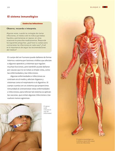 Maybe you would like to learn more about one of these? Ciencias Naturales Sexto grado 2016-2017 - Online - Página ...