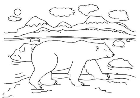 Arctic animals printable coloring pages. Arctic Animals Polar Bear Walking Around Coloring Page ...