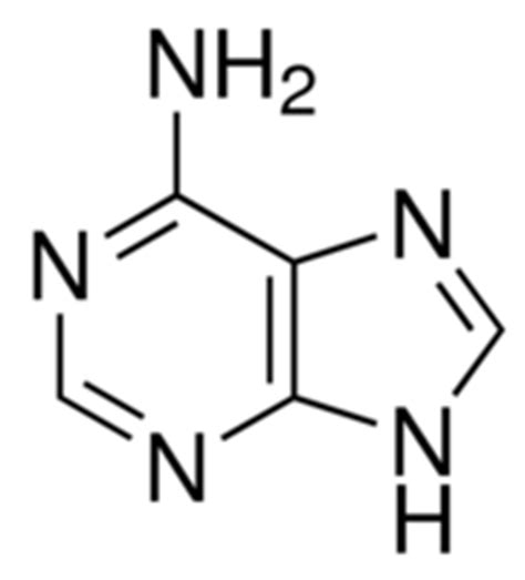 Overnight agrobacterium cultures were pelleted, washed and resuspended in. Adenine suitable for cell culture, BioReagent | Sigma-Aldrich