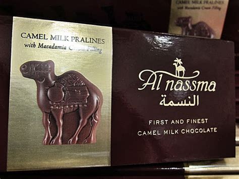 If you're looking to buy souvenirs from dubai then, you should consider buying camel milk chocolate, which is a unique product available in dubai. Eat This: Camel Milk Chocolate and Camel Milk Ice Cream ...