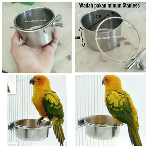 Pemberian makan pada lovebird muda diusahakan bervariasi, baik pakan bijian yang biasa dikonsumsi seperti milet putih, juga campuran milet merah. Info Terbaru Cara Membuat Tempat Makan Burung Lovebird ...