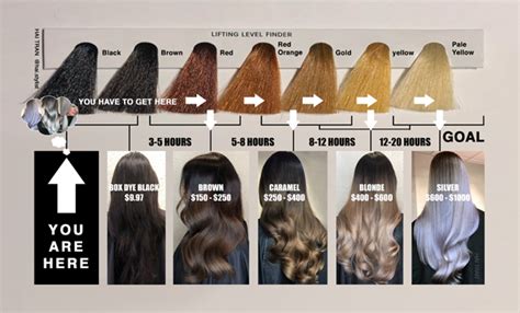 Glossy blonde when hit with a black hair, makes it a popular choice for many when it comes to highlights. This Diagram Will Help You Price & Time Black To Blonde ...