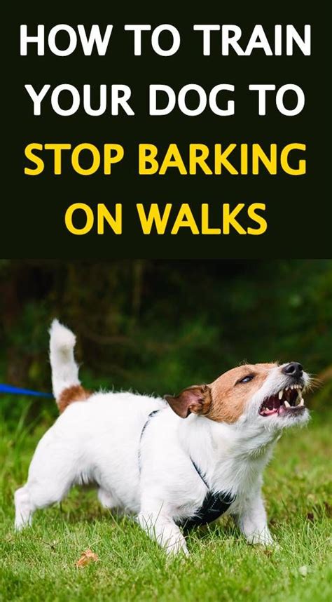 Jun 21, 2021 · training your dog to respond to strangers 1. How to Train Your Dog to Stop Barking | Training your dog ...