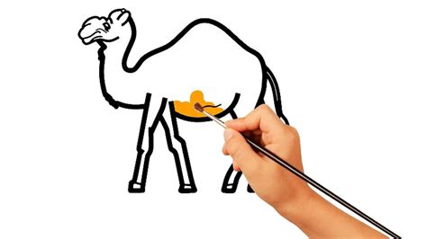 A camel's coat (hair) reflect the desert sun and keeps them cool in very hot. Camel Line Drawing | Free download on ClipArtMag