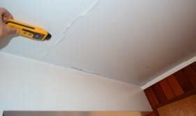 However, mold on the ceiling almost certainly comes from above, so you will need to gain access to whatever area is above the. Mold Remediation Issaquah | Browse Case Studies & Local ...