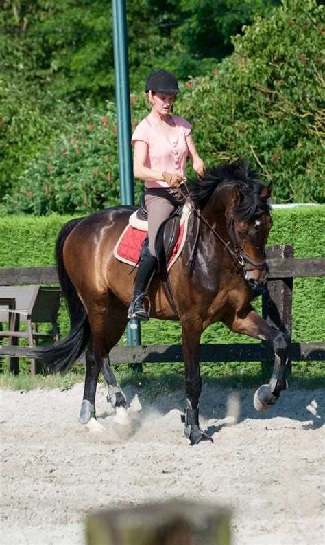 Перевод слова equestrienne, американское и британское произношение, транскрипция. Pin von Michael Schmidt auf EQUESTRIENNE - REITERINNEN ...