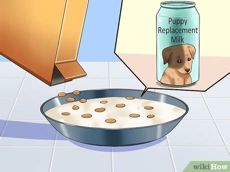 Parenting · 1 decade ago. How to Wean Puppies: 10 Steps (with Pictures) - wikiHow