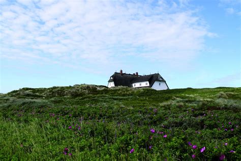 Das geräumige zimmer blau bär liegt im 1. Pension haus lassen sylt. HAUS LASSEN: Bewertungen, Fotos ...