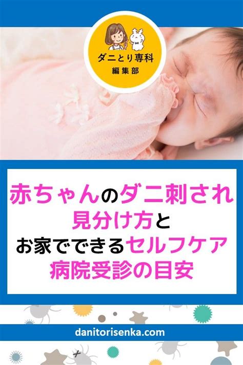 【200以上】 妊娠後期 お腹 かゆい ムヒ - 無料 1000+ 画像 ...
