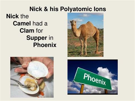 Supper = sulfate phoenix = phosphate. PPT - Nick & his Polyatomic Ions Nick the Camel had a Clam ...