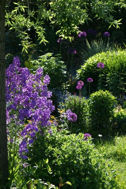 Maybe you would like to learn more about one of these? Ein Schweizer Garten: Morgenlicht...und Abendhimmel