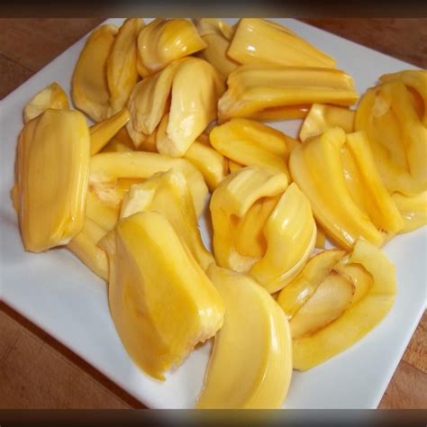 We did not find results for: Excalibur Fruit Trees - Lake Worth | Retail - Fruit