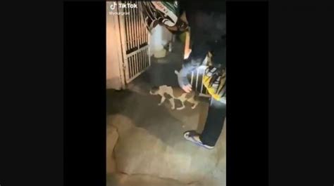 Viral scandal of jean lee full video kumalat sa internet nag viral sa facebook. Viral Kucing Nge-Freeze 10 Menit, Awas Bisa Jadi Ini ...