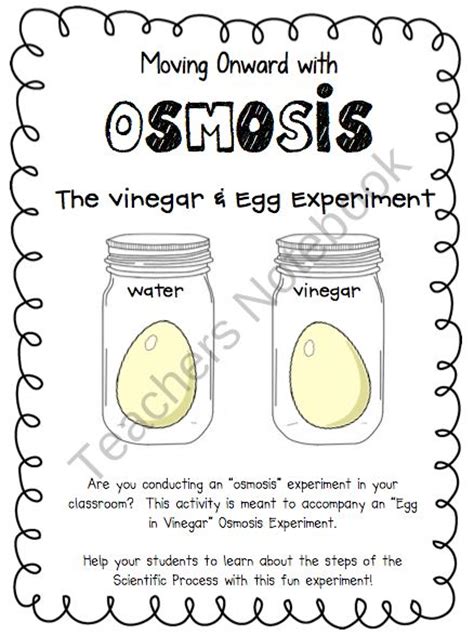 You will be manipulating the egg daily, transferring from beaker *once you get your egg back to your workspace, answer the following questions before doing anything else.** Osmosis: The Vinegar and Egg Experiment from The Teachers ...