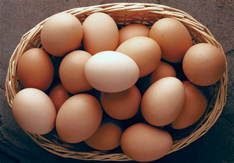 Chicken Eggs - Tilt Farms
