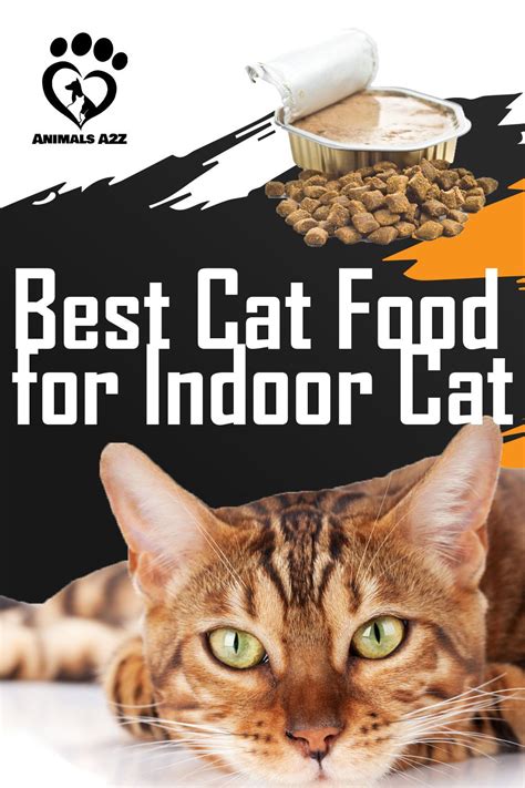 Indoor cat foods should be specifically formulated for this purpose. Best cat food for indoor cats - Cat facts! in 2020 | Best ...
