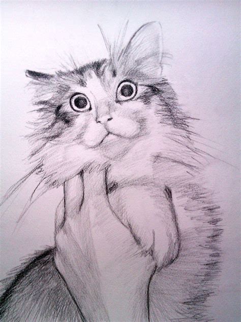 Cats up trees, cats curled up on mats; I love to draw cats :) They're so silly and yet so cute ...