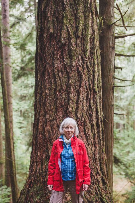Attractive Mature Woman On A Hike Through Old Growth Forest by Rob And ...