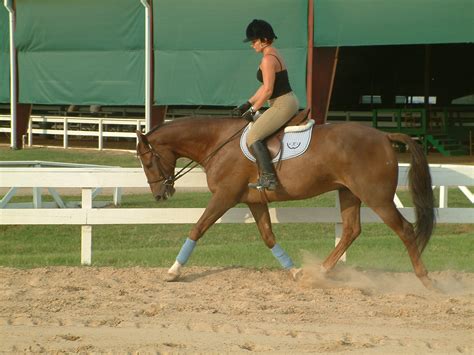 We only hire only the best coaches to give lessons in katy, tx. Horse Riding Lessons Katy Fulshear | Southern Star Farm