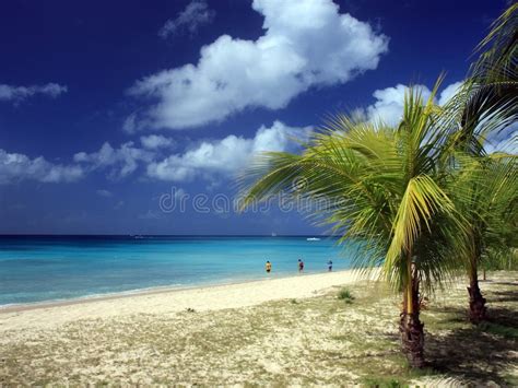 Top 5 beste stranden van barbados. Barbados strand arkivfoto. Bild av oklarhet, tagg ...