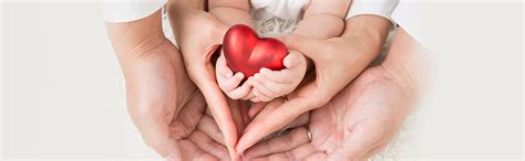 Berikut cara menjaga kesehatan jantung sejak dini, seperti dirangkum dari web md. 5 Cara Mudah Menjaga Kesehatan Jantung - Home Credit